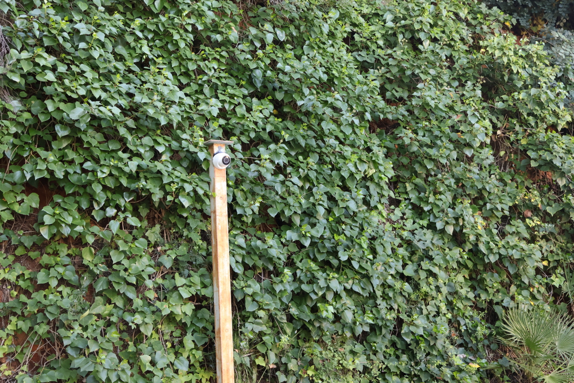 Odsprzedaż - Villa - La Sella Golf - Inland