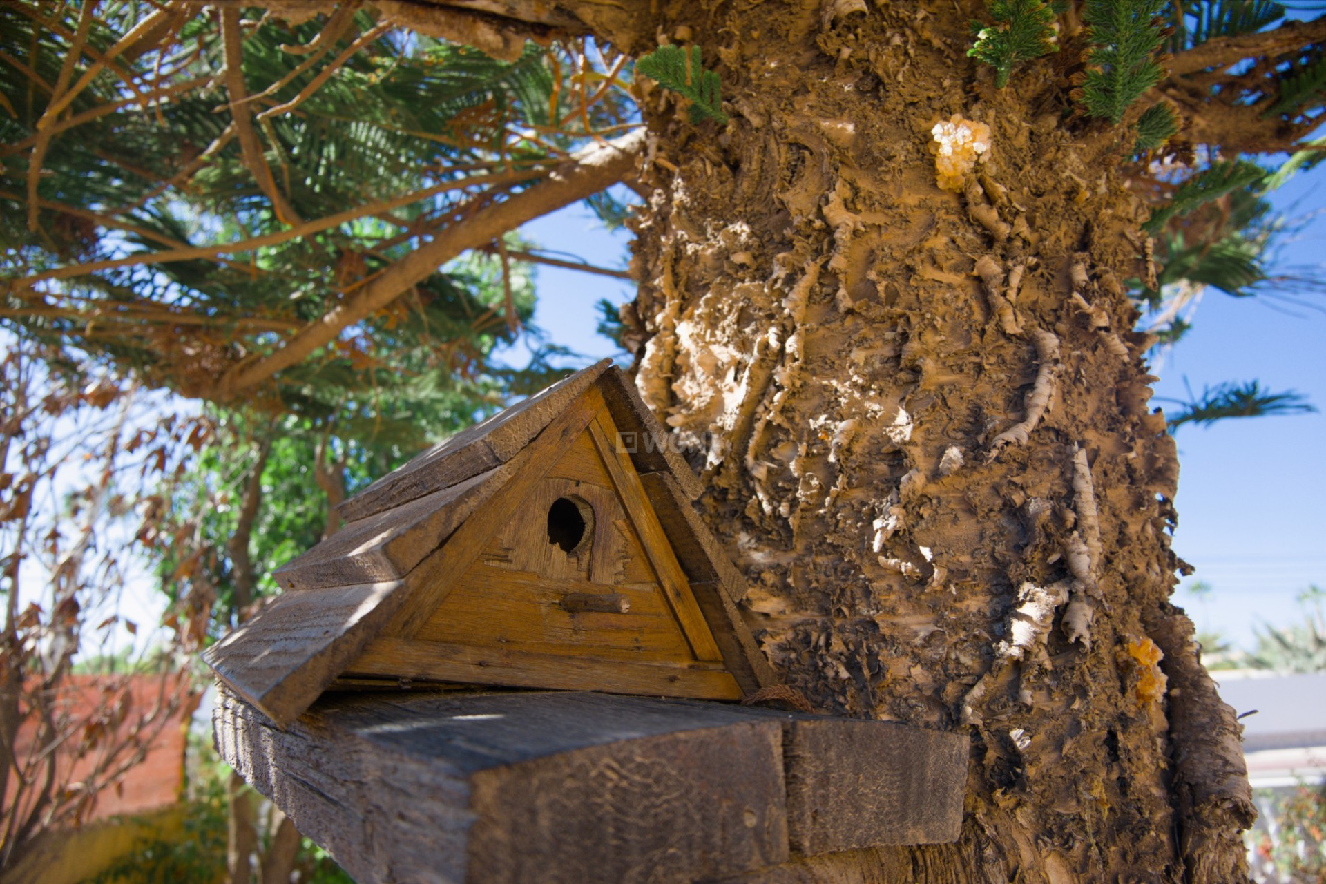 Odsprzedaż - Villa - La Siesta - Costa Blanca