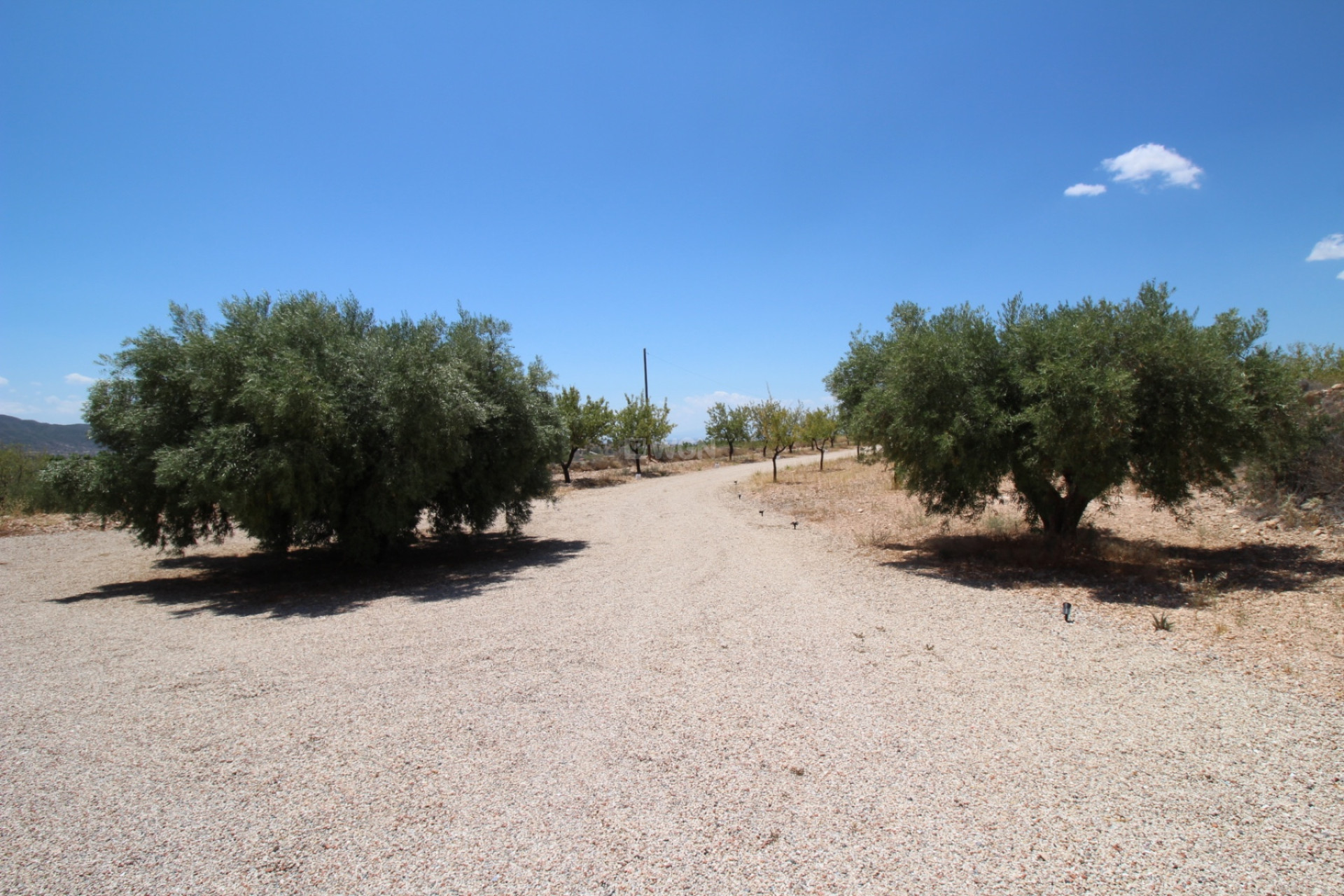 Odsprzedaż - Villa - Macisvenda - Inland