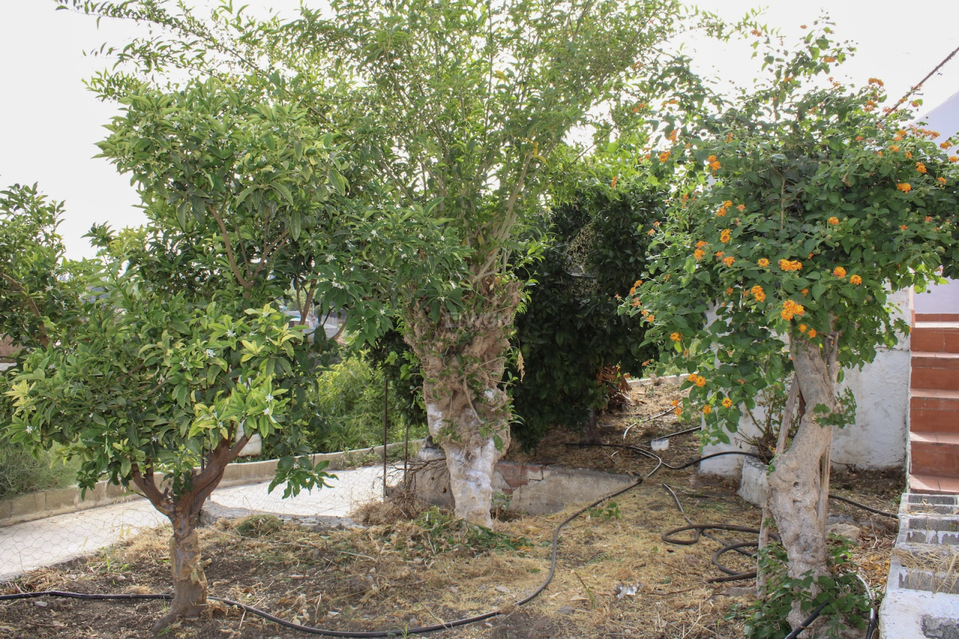 Odsprzedaż - Villa - Nerja - Costa del Sol