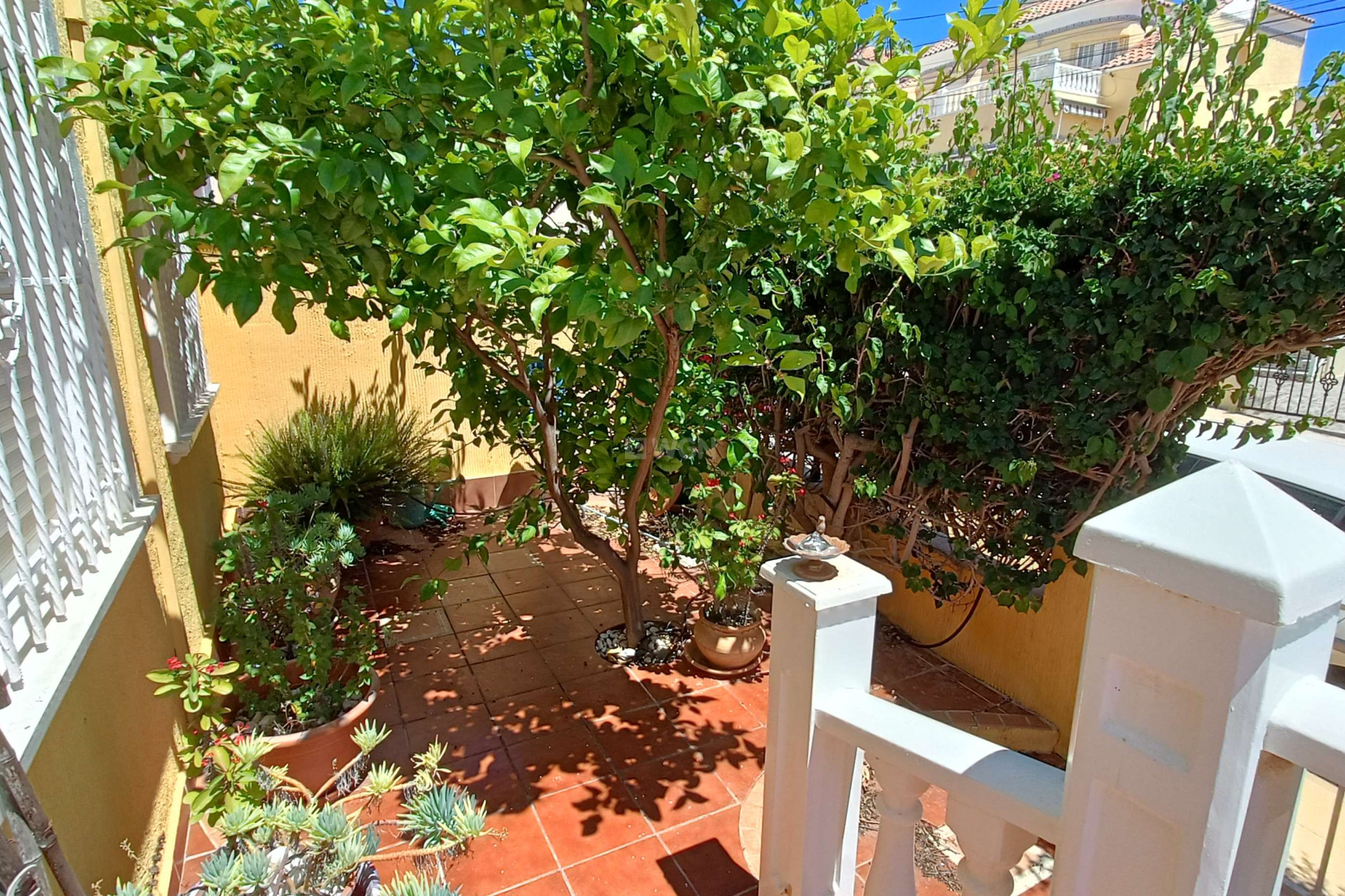 Odsprzedaż - Villa - Orihuela Costa - Costa Blanca