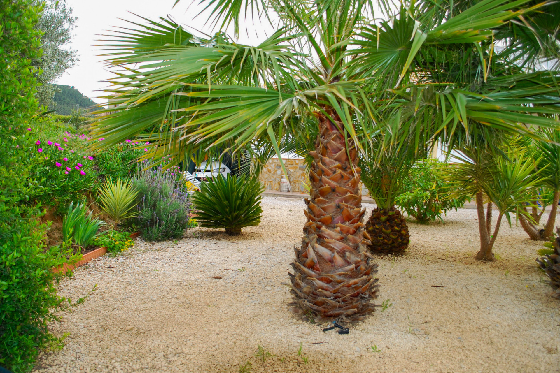 Odsprzedaż - Villa - Pliego - Inland