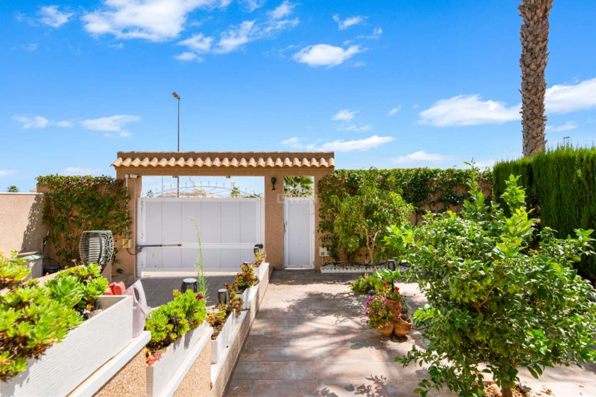 Odsprzedaż - Villa - Punta Prima - Costa Blanca