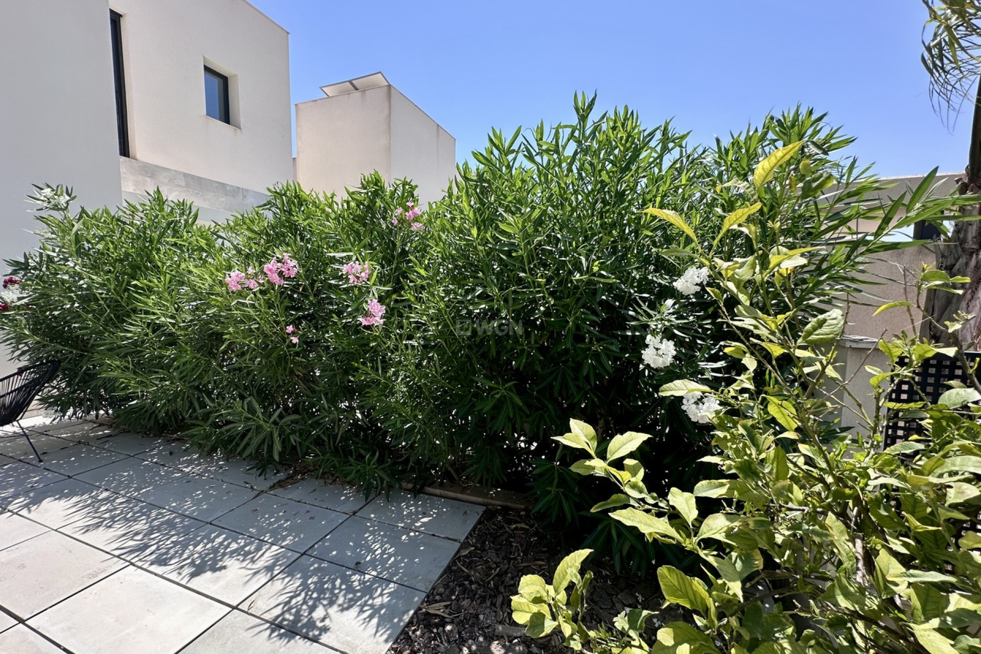 Odsprzedaż - Villa - Rojales Hills - Costa Blanca