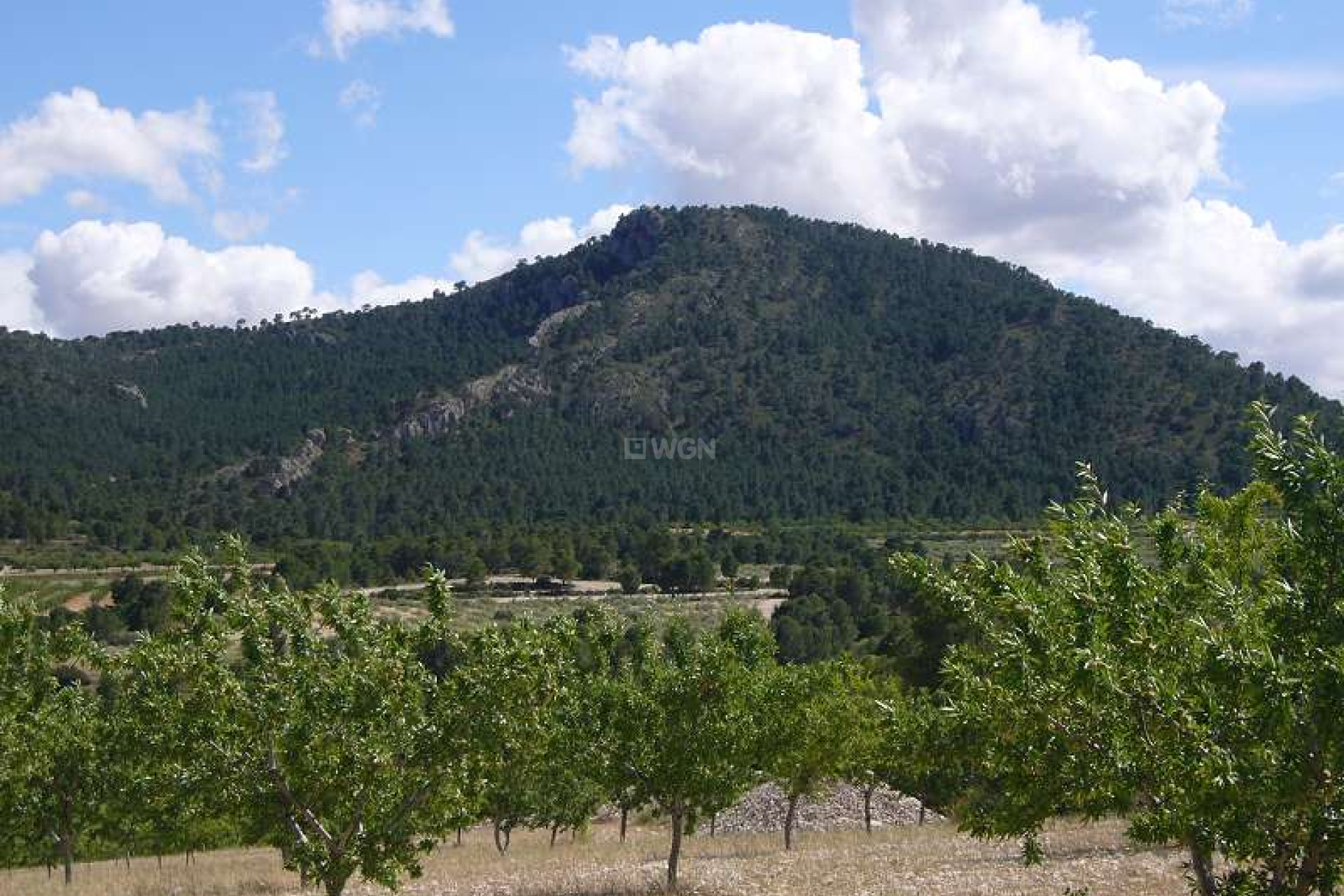 Odsprzedaż - Villa - Salinas - Inland