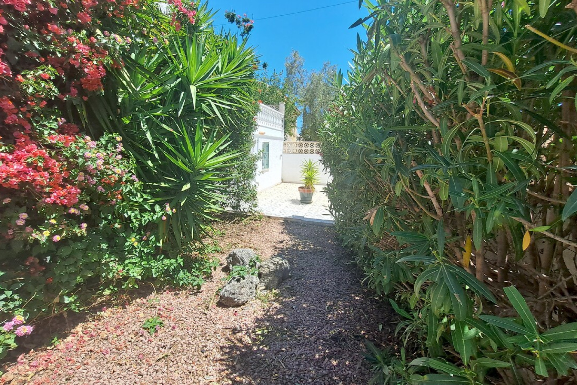 Odsprzedaż - Villa - San Miguel de Salinas - Inland