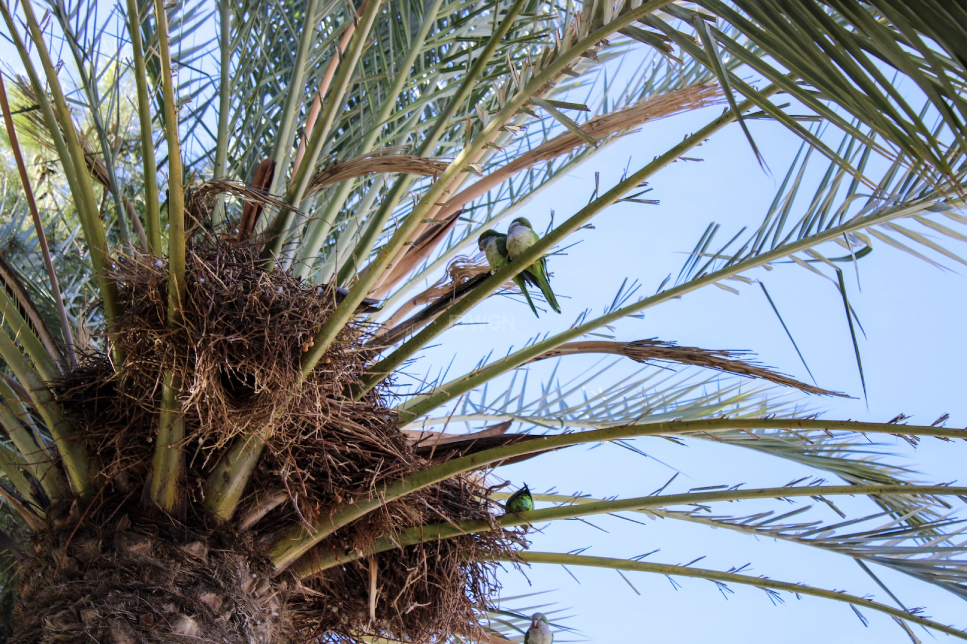 Odsprzedaż - Villa - Torre del Mar - Costa del Sol