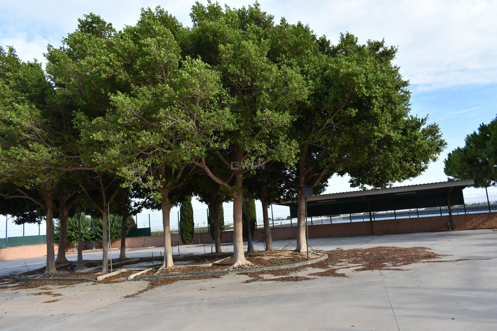 Odsprzedaż - Villa - Torre Pacheco - Dolores De Pacheco