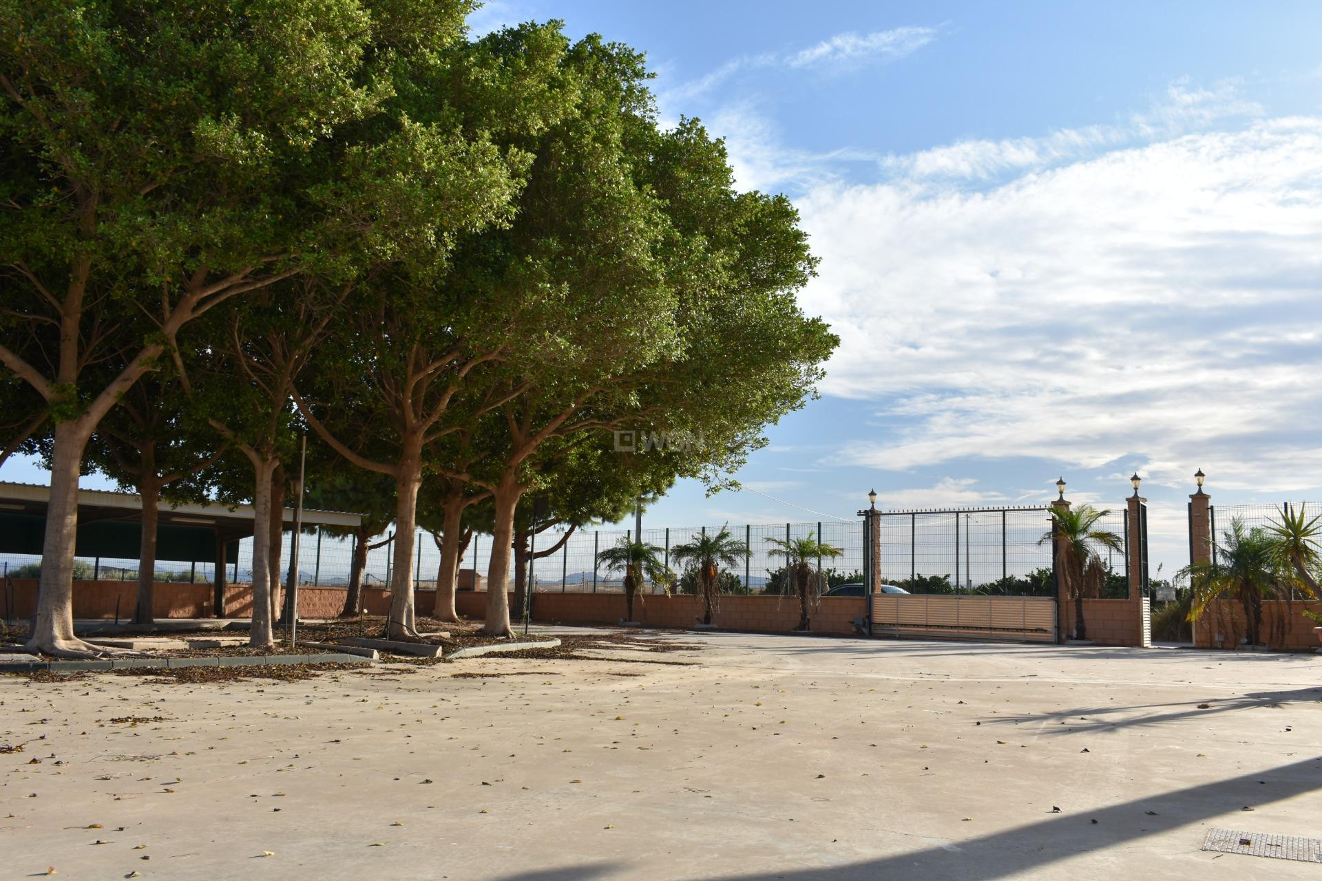 Odsprzedaż - Villa - Torre Pacheco - Dolores De Pacheco