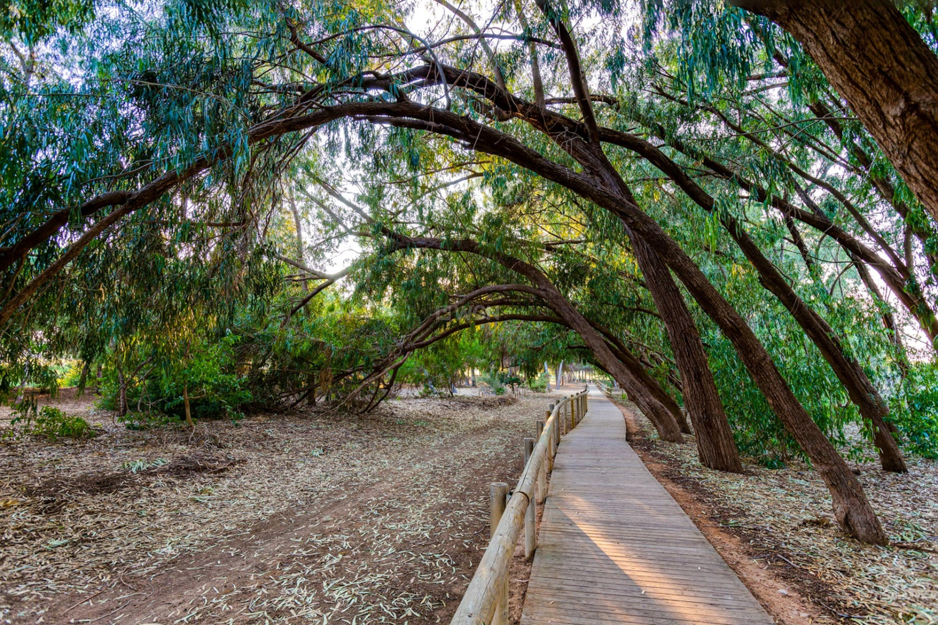 Odsprzedaż - Villa - Torrevieja - Costa Blanca