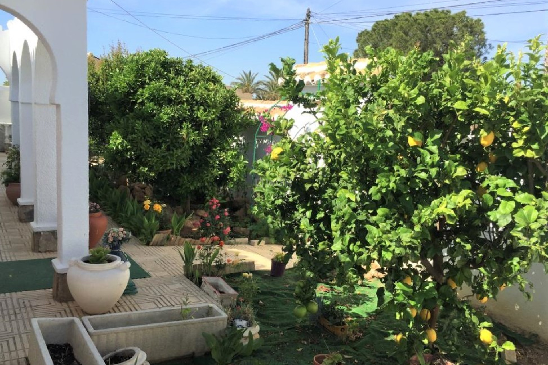 Odsprzedaż - Villa - Torrevieja - Costa Blanca