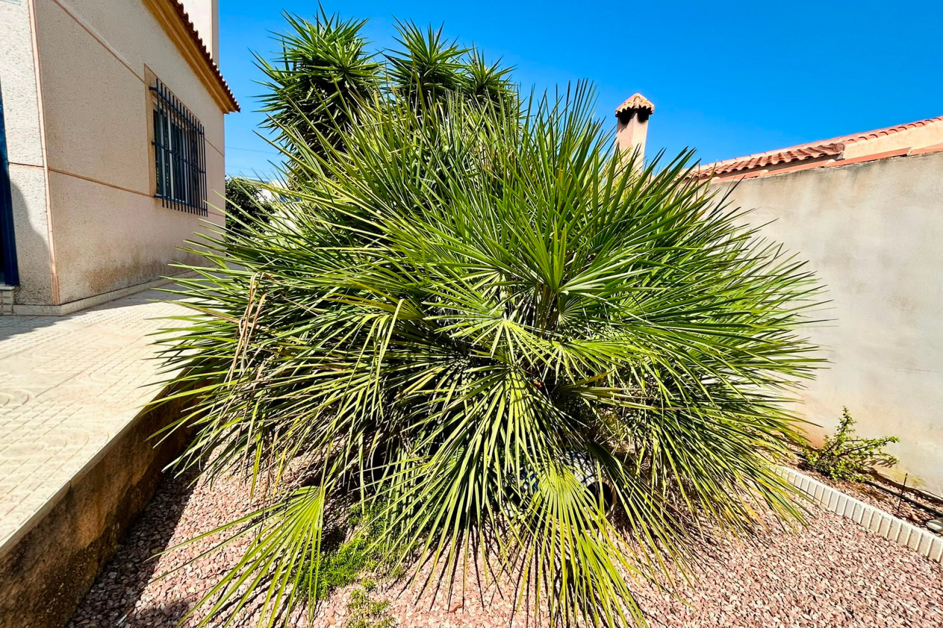 Odsprzedaż - Villa - Torrevieja - Costa Blanca