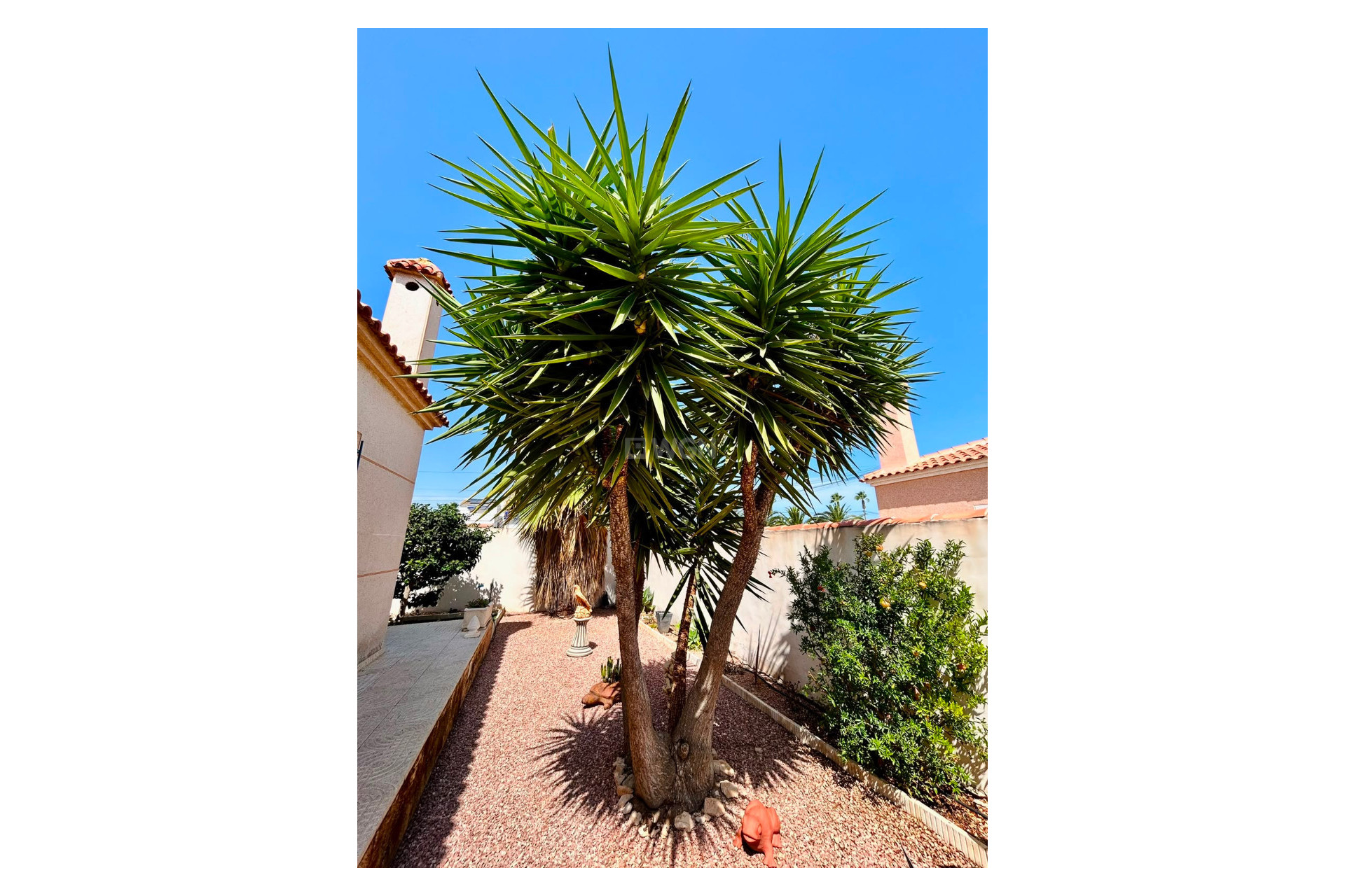 Odsprzedaż - Villa - Torrevieja - Costa Blanca