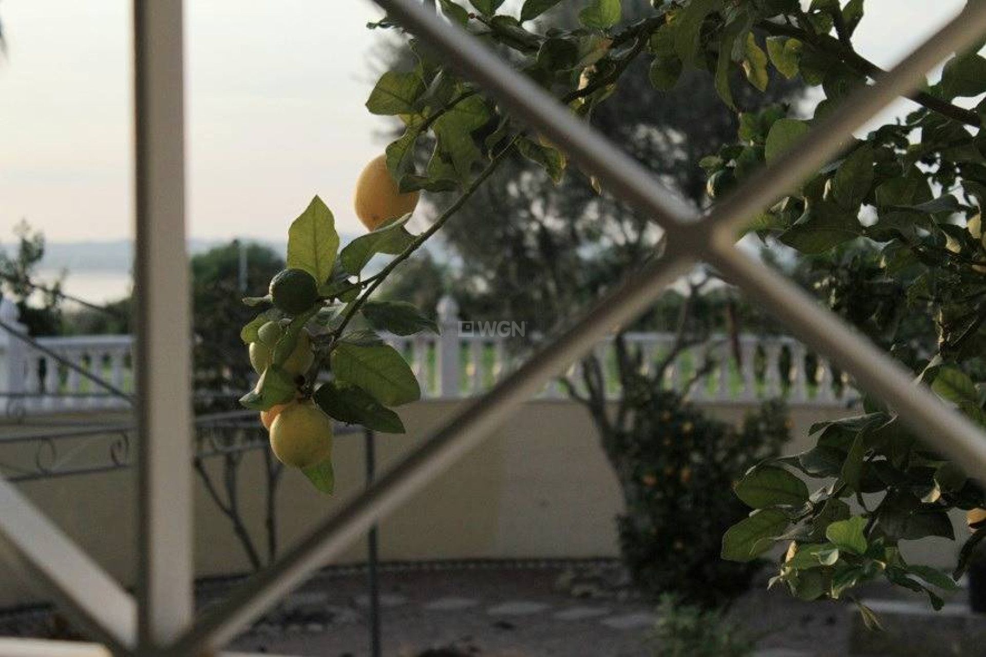 Odsprzedaż - Villa - Torrevieja - La Siesta - El Salado - Torreta