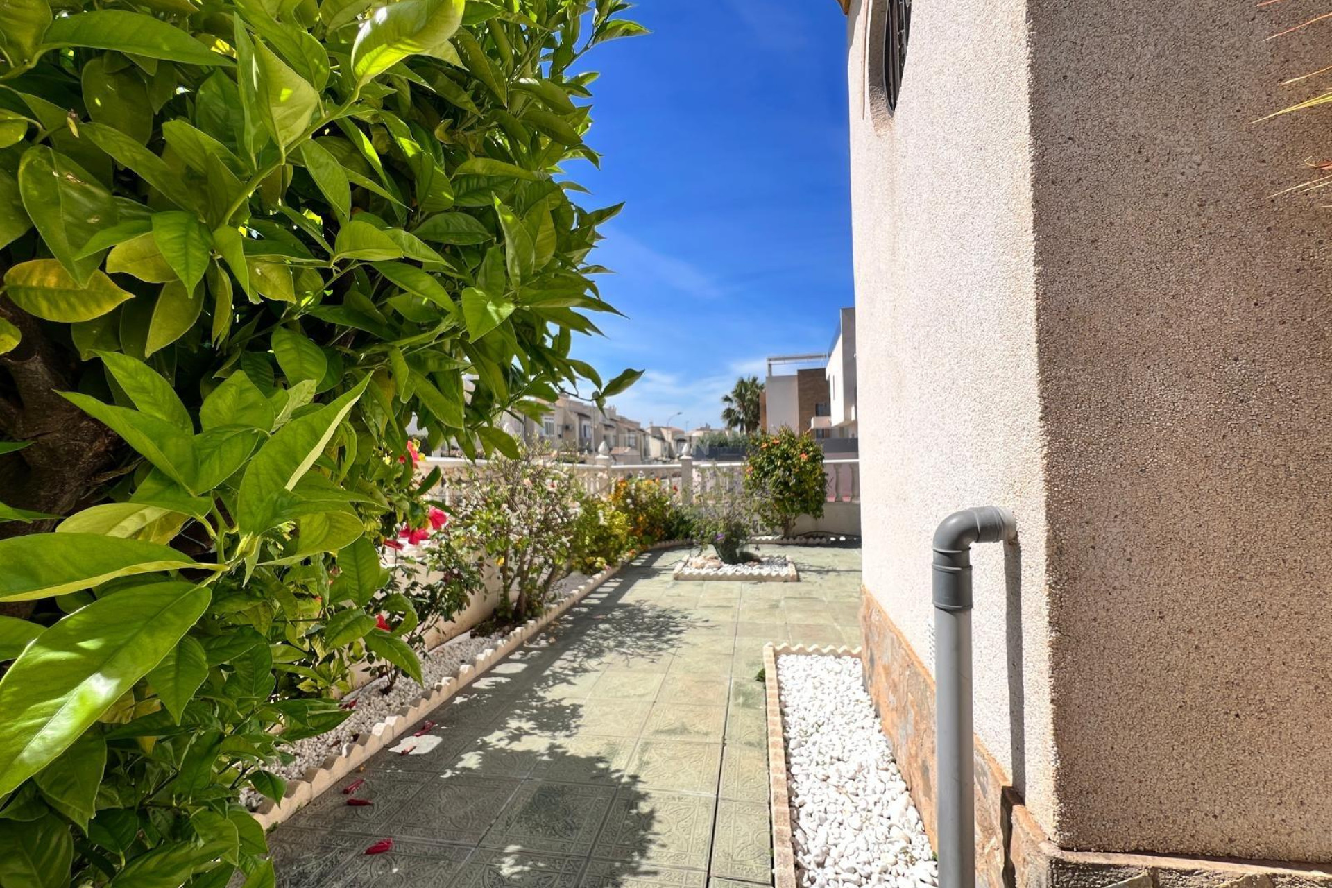 Odsprzedaż - Villa - Torrevieja - Torre La Mata