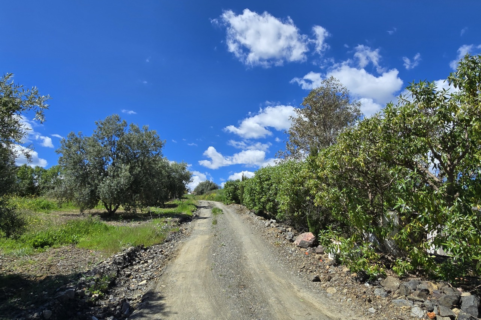 Odsprzedaż - Villa - Vinuela - Inland