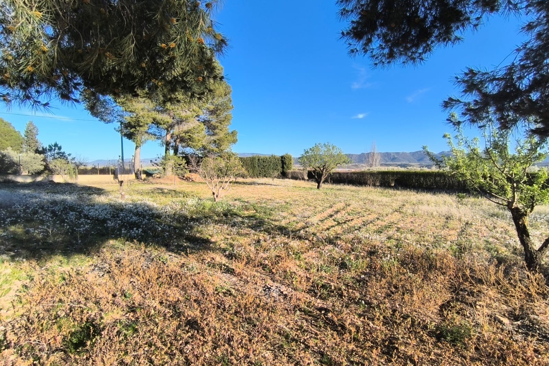 Odsprzedaż - Villa - Yecla - Inland