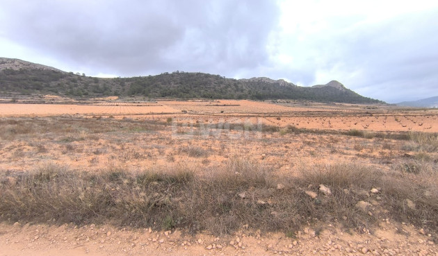 Parcela / Terreno - Reventa - La Solana - La Solana