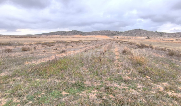 Parcela / Terreno - Reventa - La Solana - La Solana