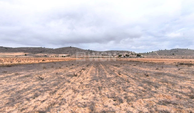 Parcela / Terreno - Reventa - La Solana - La Solana