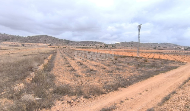 Parcela / Terreno - Reventa - La Solana - La Solana
