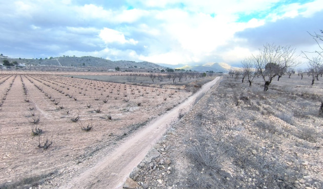 Parcela / Terreno - Reventa - La Solana - La Solana