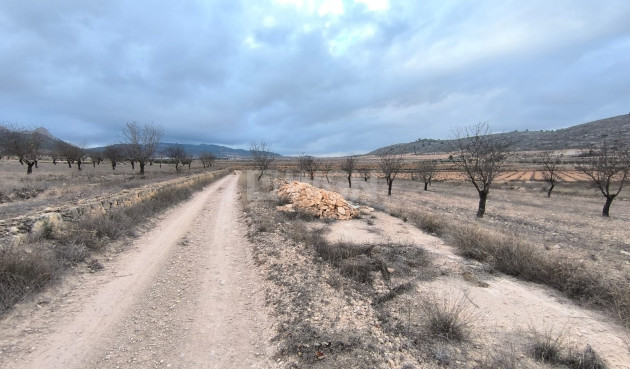 Parcela / Terreno - Reventa - La Solana - La Solana