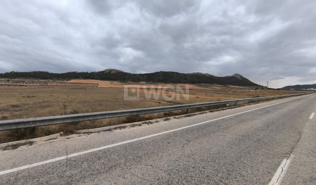 Parcela / Terreno - Reventa - La Solana - La Solana