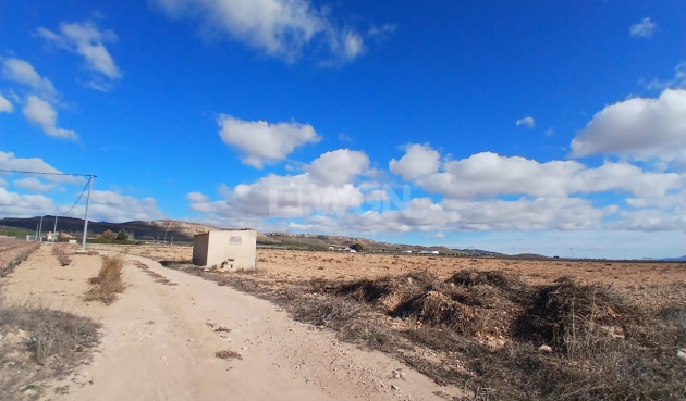 Parcela / Terreno - Reventa - Yecla - Inland