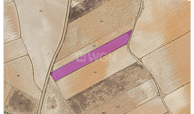 Parcela / Terreno - Reventa - Yecla - Inland