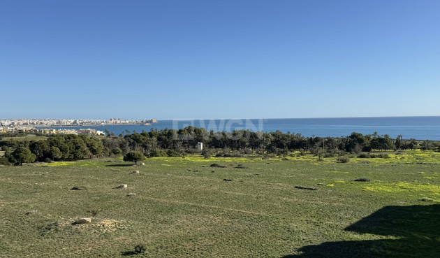 Penthouse - Resale - Punta Prima - 90672