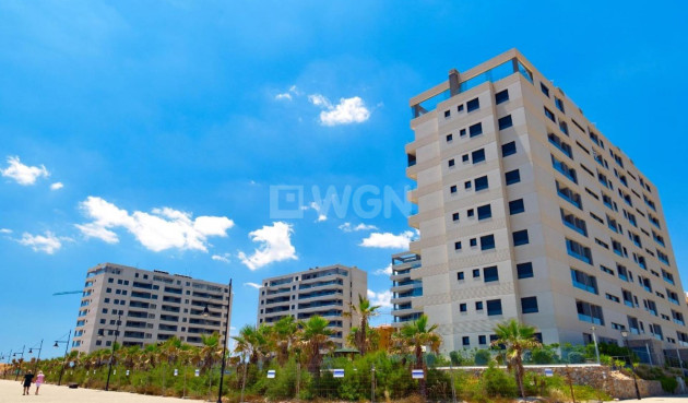 Penthouse - Resale - Torrevieja - 33412