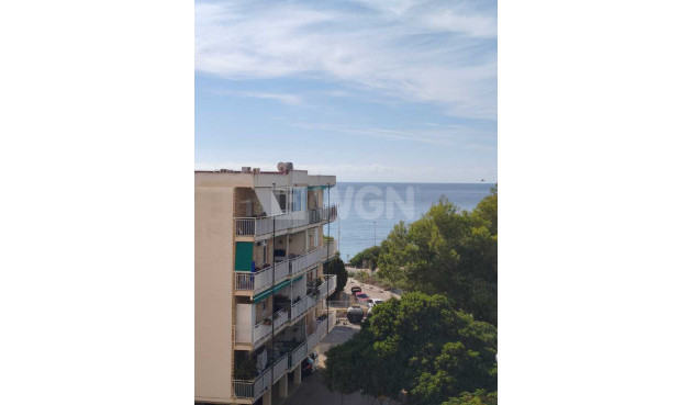 Penthouse - Wiederverkauf - Punta Prima - Costa Blanca