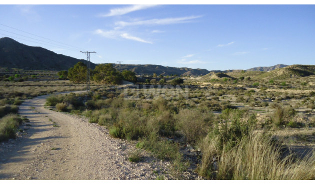 Plot / Land - Resale - Abanilla - Inland