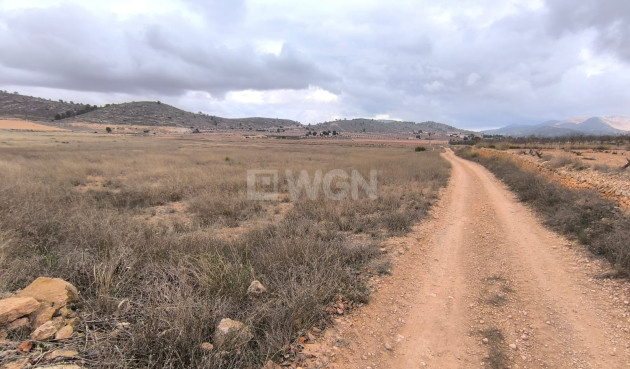 Plot / Land - Resale - La Solana - La Solana