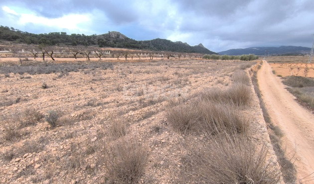 Plot / Land - Resale - La Solana - La Solana