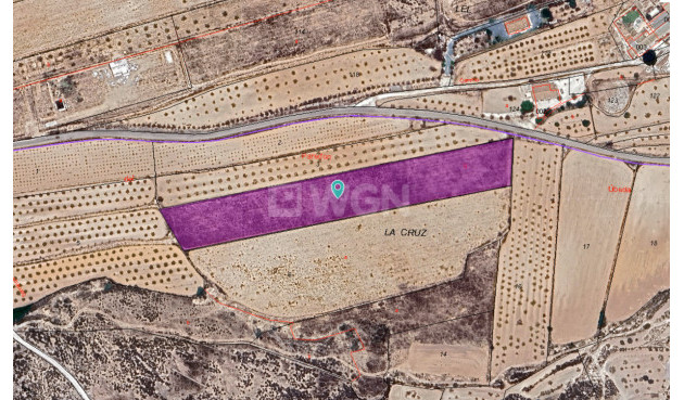 Plot / Land - Resale - Pinoso - Inland