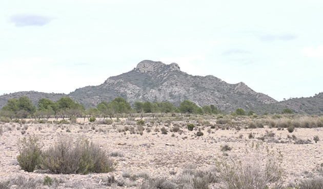 Plot / Land - Resale - Salinas - 77540