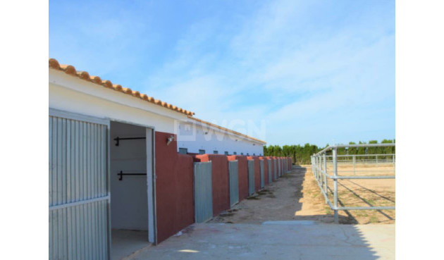 Plot / Land - Resale - San Miguel de Salinas - 17052