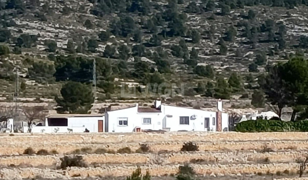 Property - Odsprzedaż - Monóvar/Monóver - Inland