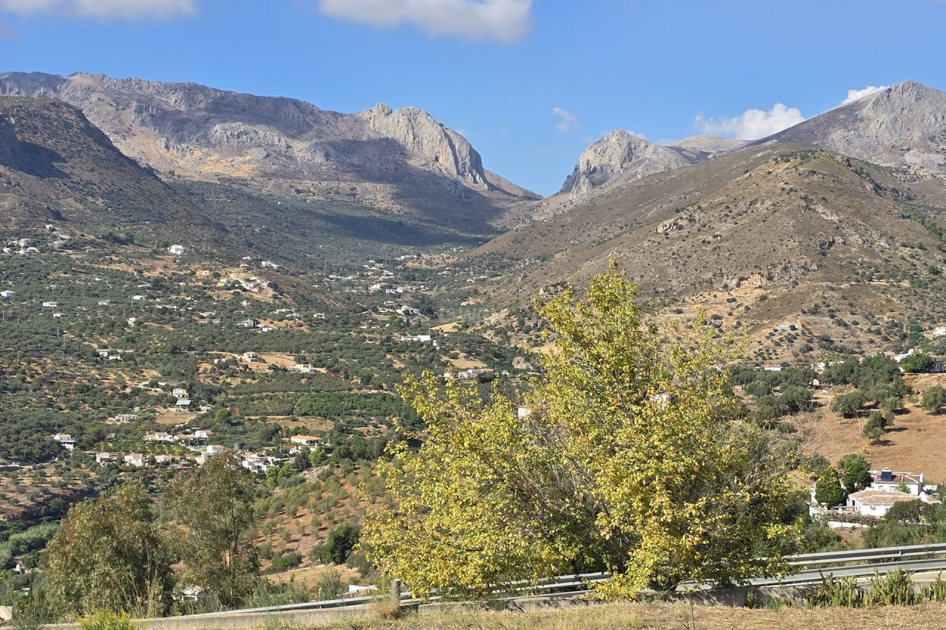 Resale - Apartment / flat - Alcaucín - Inland