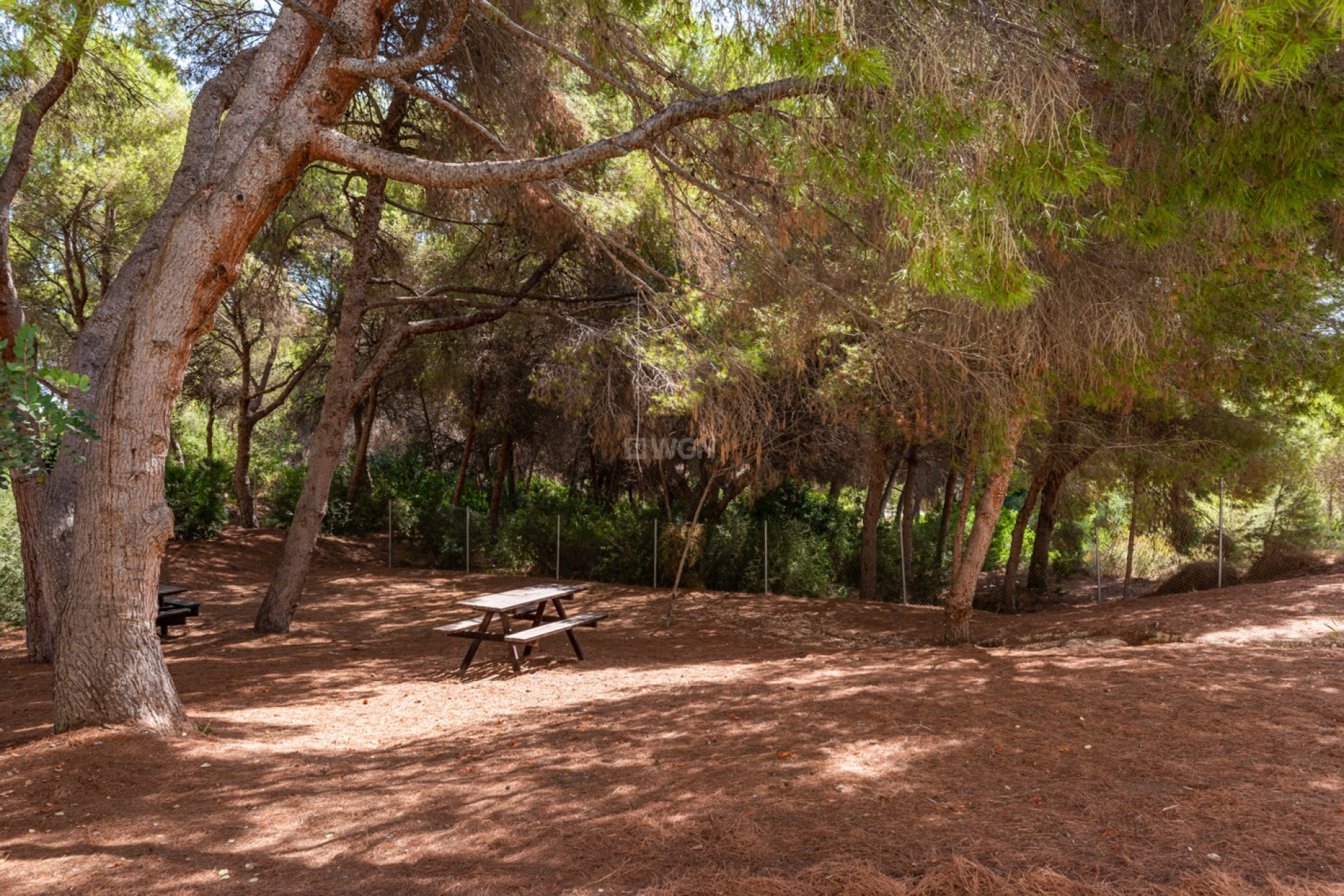 Resale - Apartment / flat - Alicante - Costa Blanca