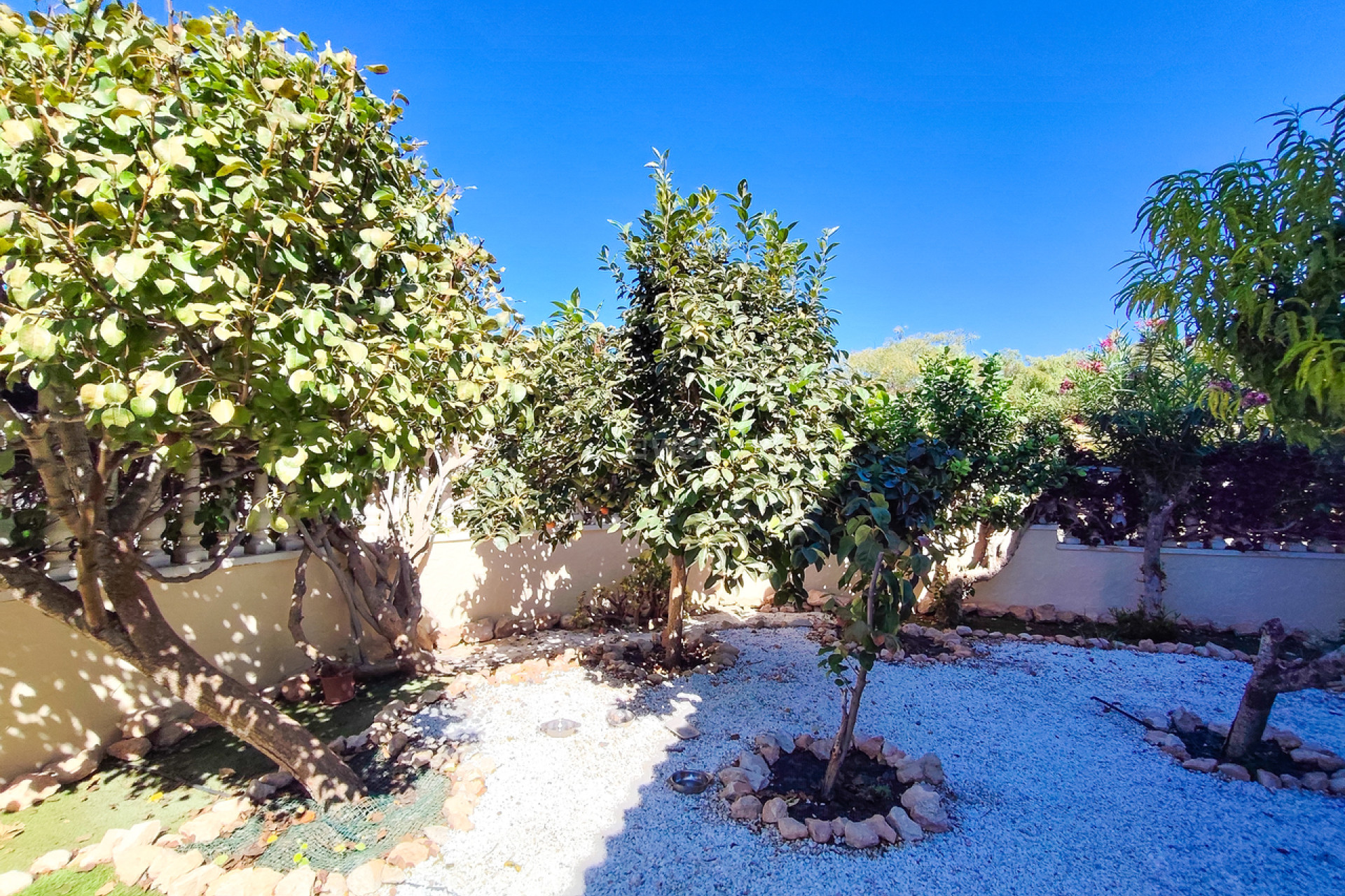 Resale - Apartment / flat - Cabo Roig - Costa Blanca