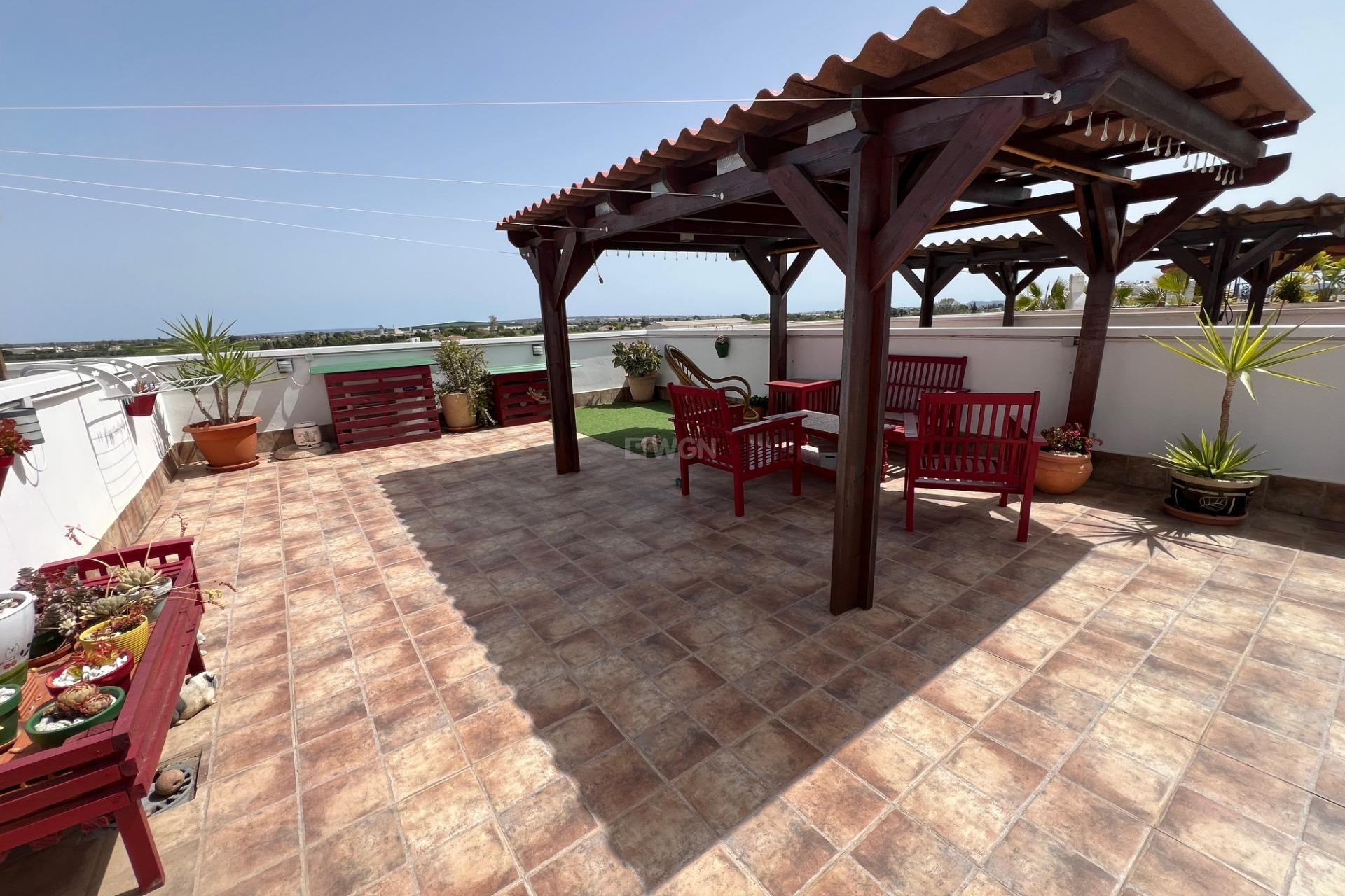 Resale - Apartment / flat - Dolores - Comunidad Valenciana