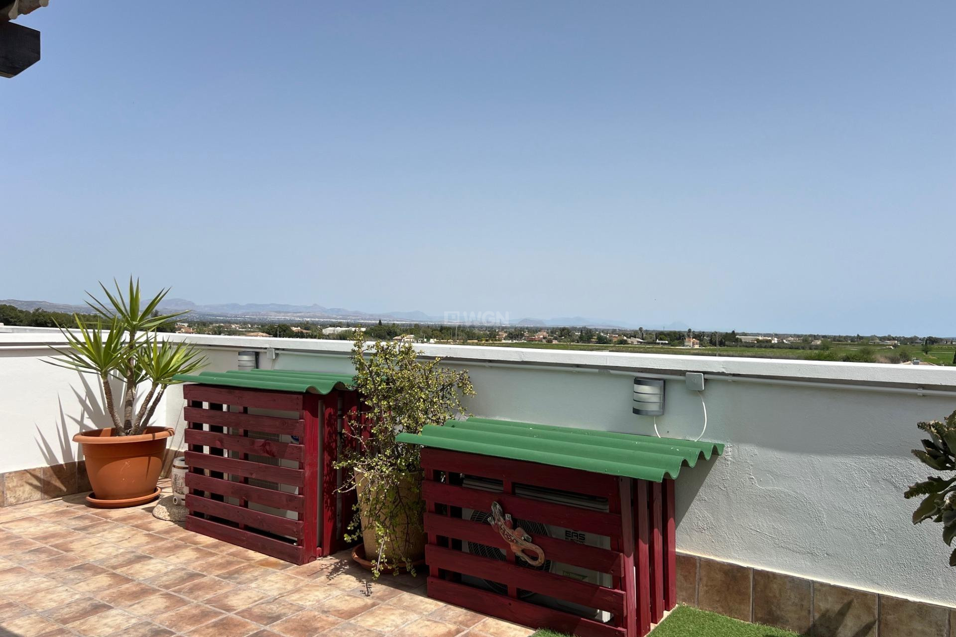Resale - Apartment / flat - Dolores - Comunidad Valenciana