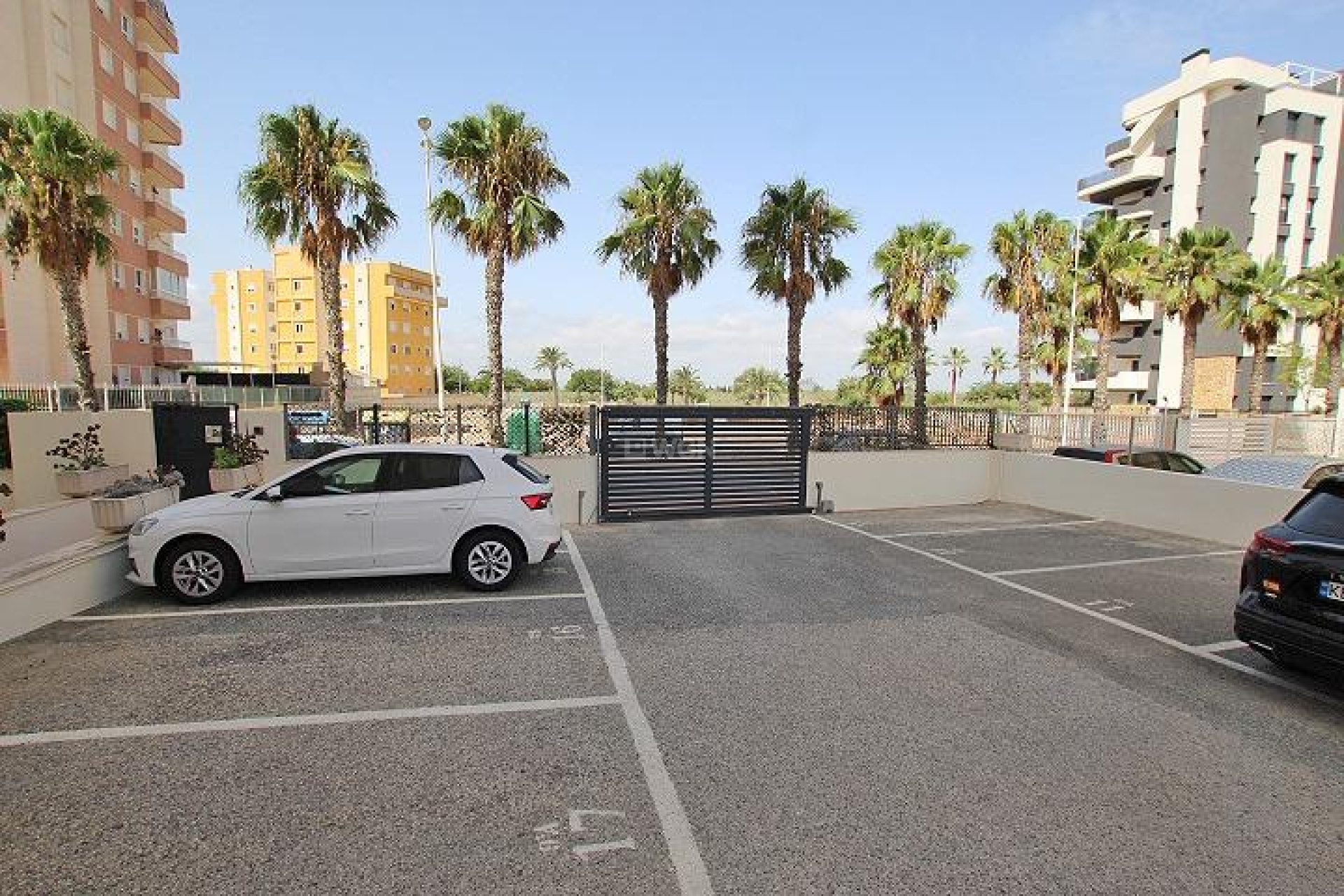 Resale - Apartment / flat - Guardamar del Segura - Avenida del Puerto