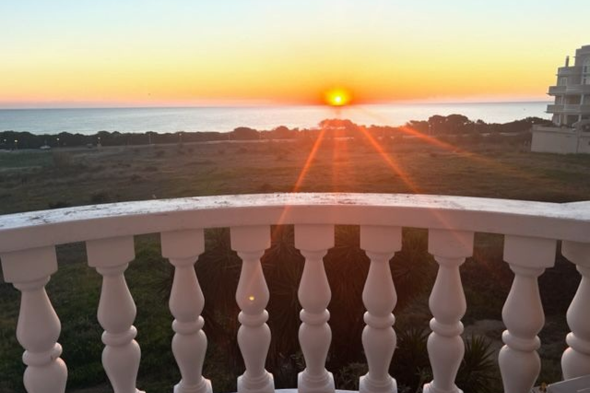 Resale - Apartment / flat - Guardamar del Segura - Costa Blanca