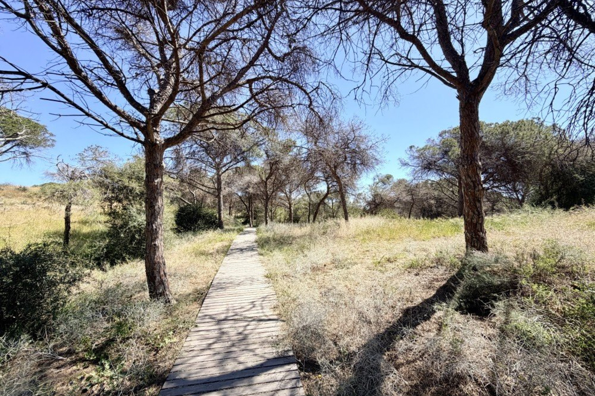 Resale - Apartment / flat - Guardamar del Segura - Costa Blanca