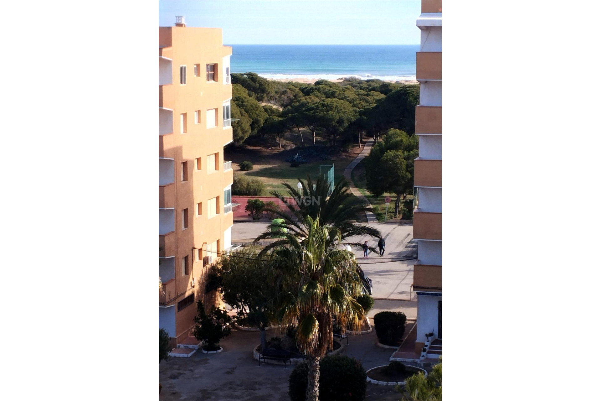 Resale - Apartment / flat - Guardamar del Segura - Pinomar