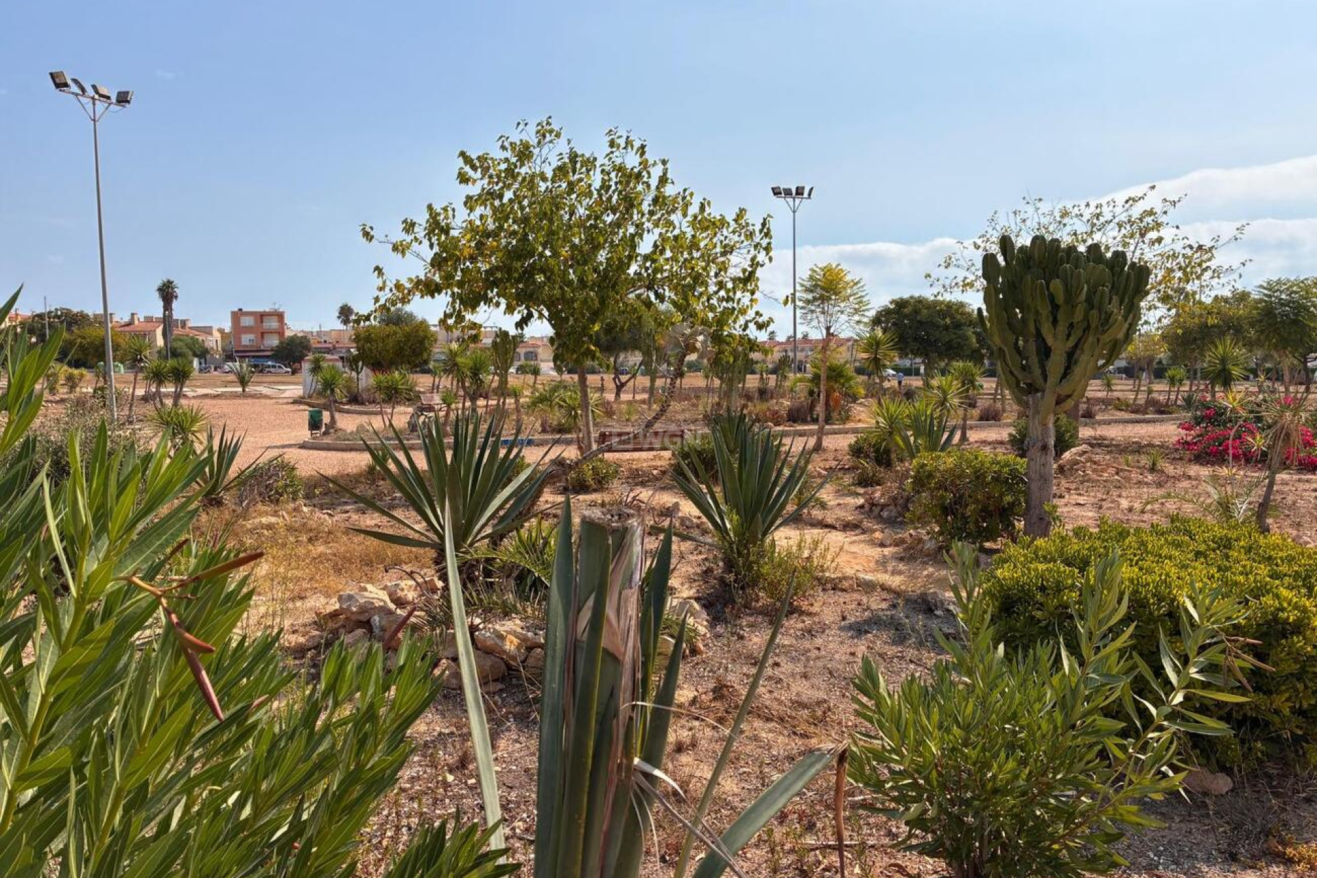 Resale - Apartment / flat - Los Almendros (Orihuela-Costa) - Costa Blanca
